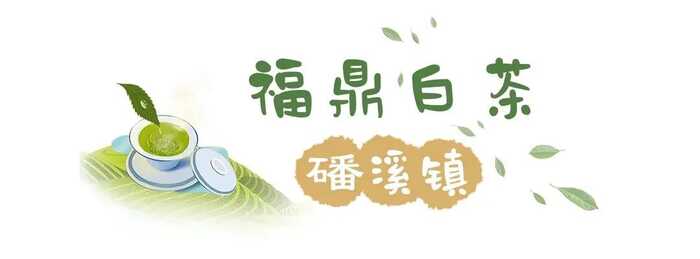 八闽山水育“地标”好茶