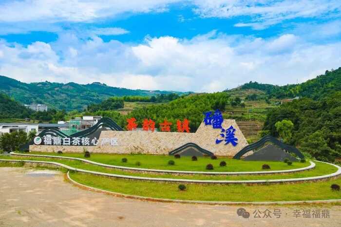 八闽山水育“地标”好茶