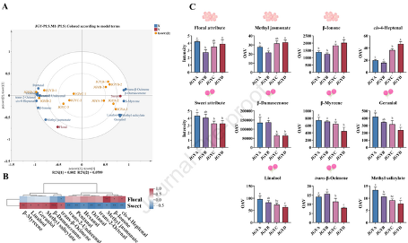 不同等级鲜叶加工的红茶香气特征