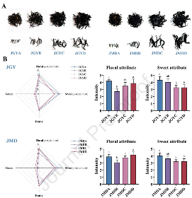 不同等级鲜叶加工的红茶香气特征