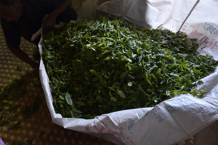 茶叶市场，逐渐适应消费降级！价格虚高且不愿降价的山头，已经被市场抛弃！