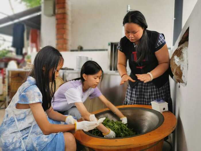 思茅区：暑期茶旅融合激活产业新动能