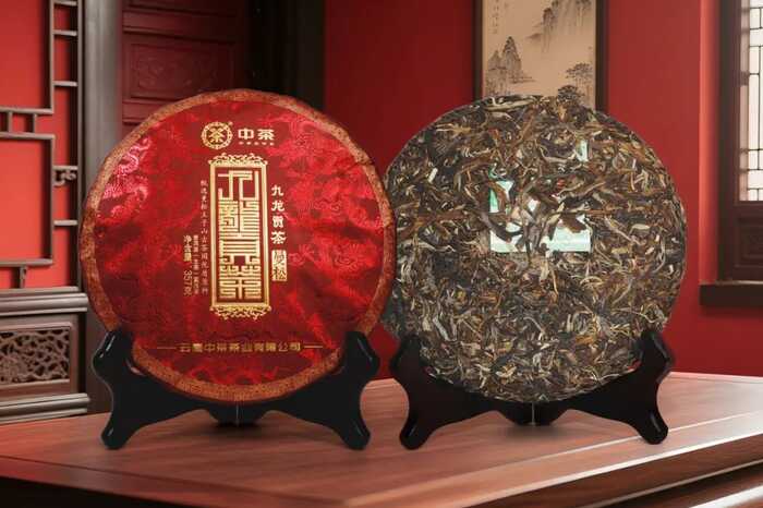 新品上市  中茶九龙贡茶 曼松 普洱茶（生茶）紧压茶