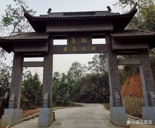 普洱茶界天花板曼松贡茶：皇家贡茶的独特口感与不足