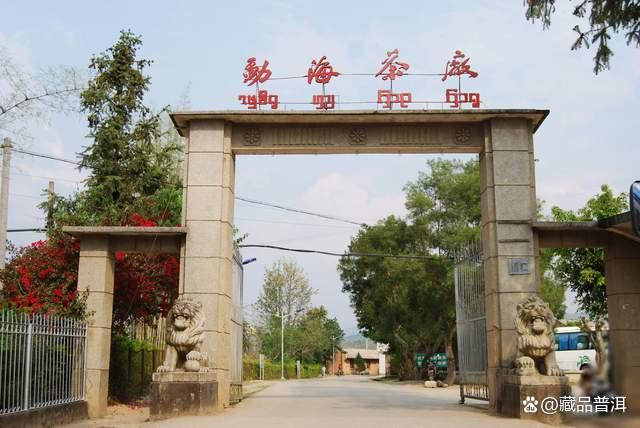 普洱熟茶发酸是什么原因？3个关键因素一次看懂