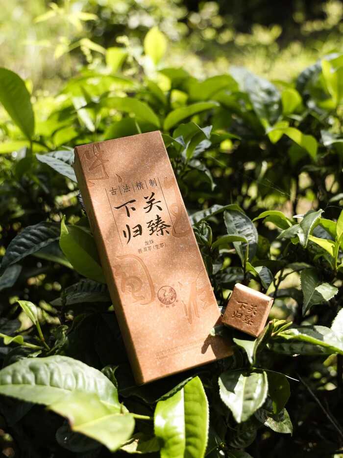 2025·下关归臻 锡纸裹霞岚，归臻蕴茶山