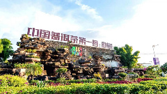 2025中国普洱茶大会启幕在即：探秘的生态密码与产业新篇