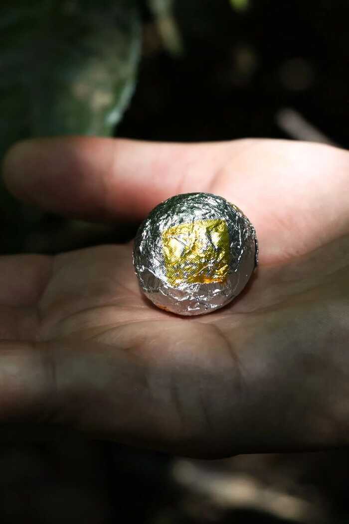 2025·下关归臻 锡纸裹霞岚，归臻蕴茶山