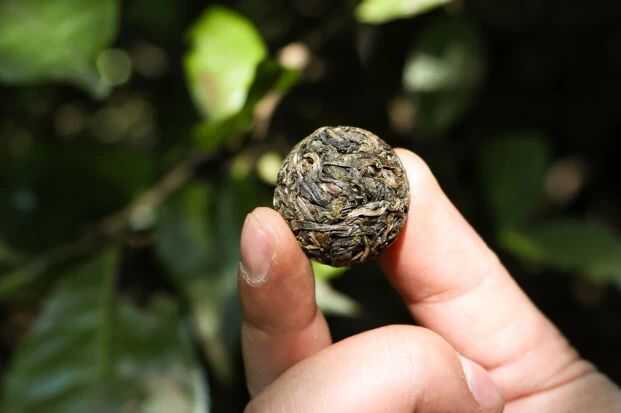 2025·下关归臻 锡纸裹霞岚，归臻蕴茶山