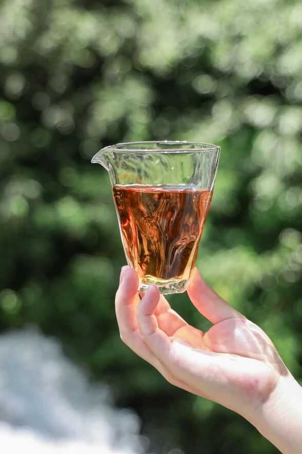 2025·下关归臻 锡纸裹霞岚，归臻蕴茶山