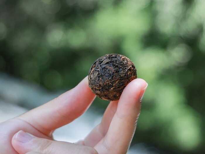 2025·下关归臻 锡纸裹霞岚，归臻蕴茶山