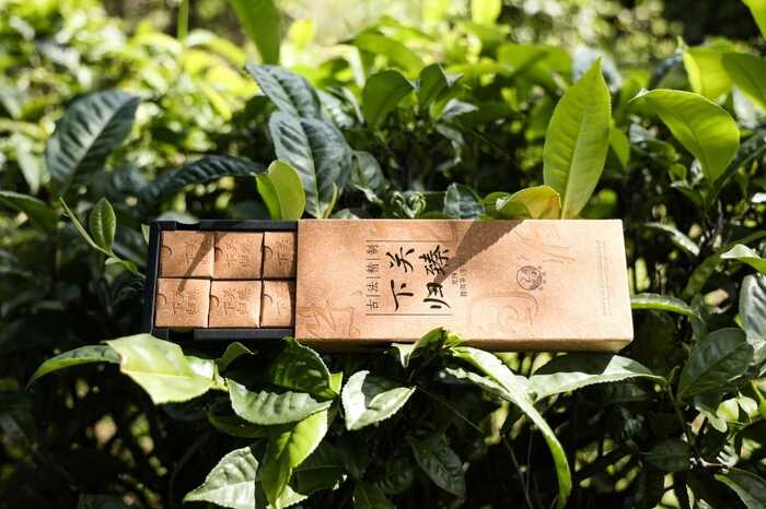 2025·下关归臻 锡纸裹霞岚，归臻蕴茶山