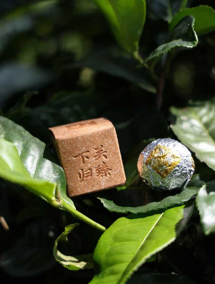 2025·下关归臻 锡纸裹霞岚，归臻蕴茶山