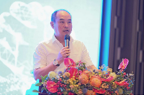 “云南普洱茶好”的声音！