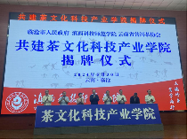 “云南普洱茶好”的声音！