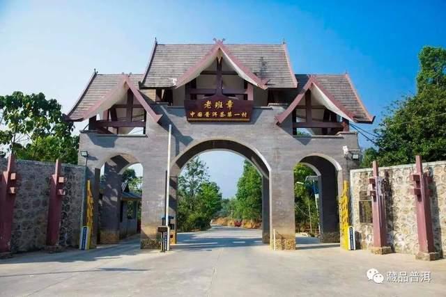 班章大白菜特二号熟饼：重新定义熟茶天花板的传奇名品