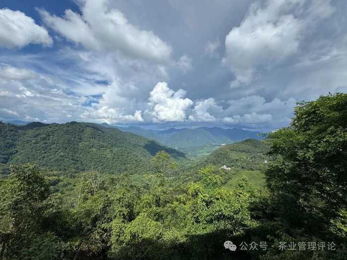 解码茶叶小产区与茶空间的财富哲学 ——《现代商业银行·财富生活》专访邓增永