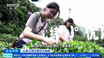 CCTV2《正点财经》聚焦名山：金融活水润茶乡，暑期文旅焕新机！
