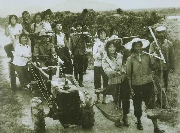 八角亭大事记 探索时期（1951-2001年）