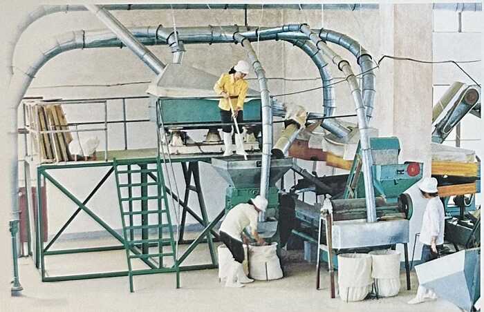 八角亭大事记 探索时期（1951-2001年）