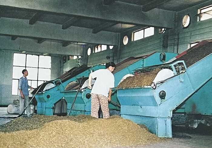 八角亭大事记 探索时期（1951-2001年）