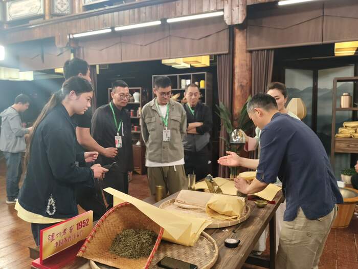 探秘“茶中黄金”：蒙顶黄芽的传奇与价值