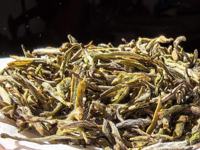 探秘“茶中黄金”：蒙顶黄芽的传奇与价值