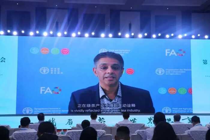 超80%！绿茶产业加速迈向全球市场