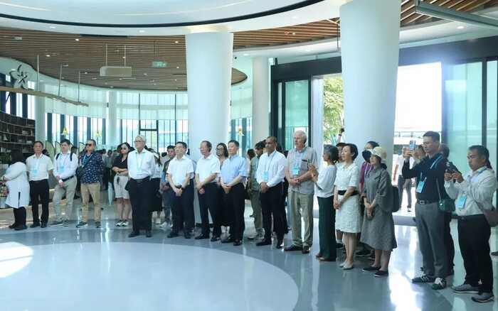 超80%！绿茶产业加速迈向全球市场