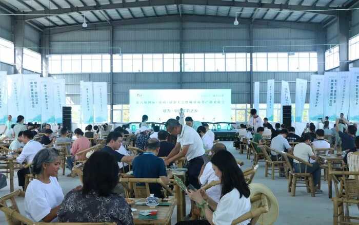 超80%！绿茶产业加速迈向全球市场