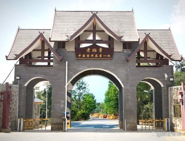 2000年班章大二号熟饼，班章熟茶天花板，颠覆传统熟茶风格