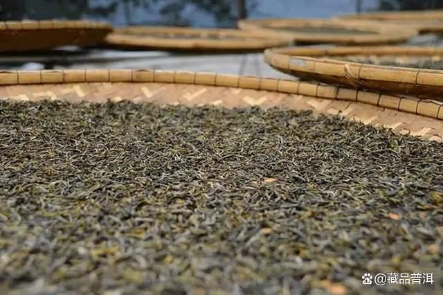 普洱茶与六大茶类有何不同？好普洱茶有哪些标准？行家专业解读