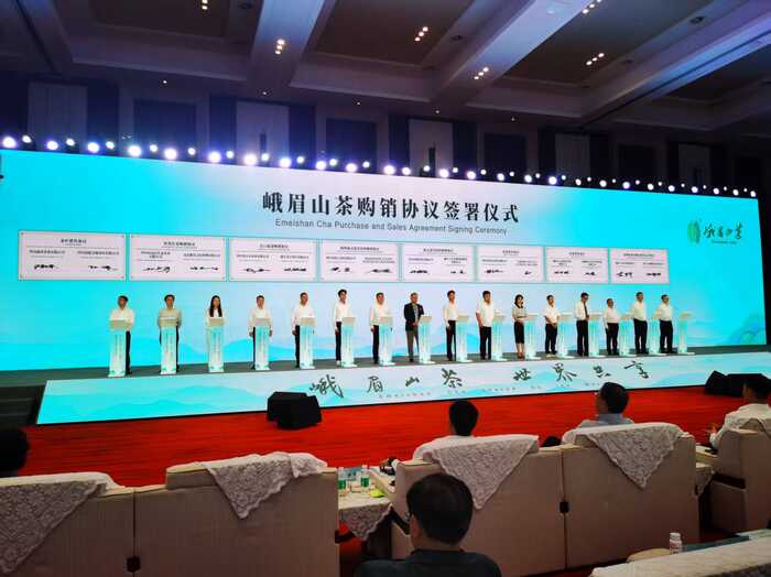 第六届国际绿茶大会乐山开幕 签约额超28亿元助力茶业全球化