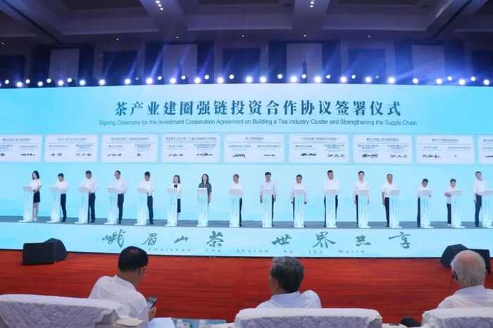 超80%！绿茶产业加速迈向全球市场