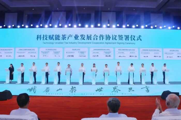 超80%！绿茶产业加速迈向全球市场