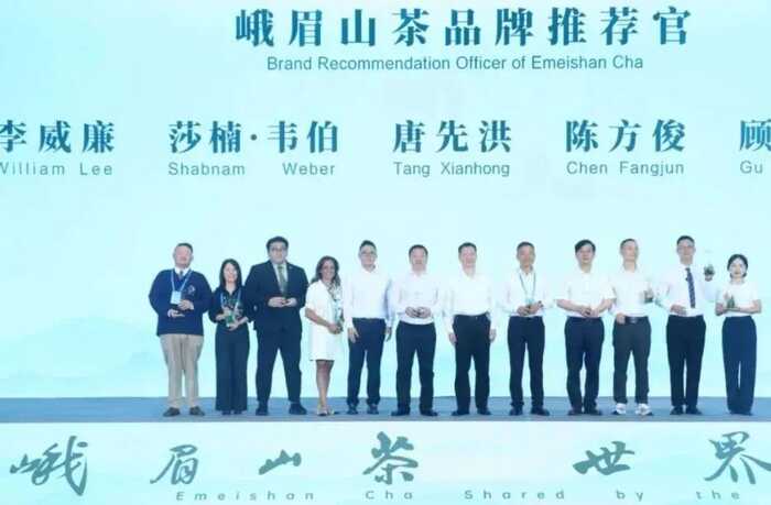 超80%！绿茶产业加速迈向全球市场