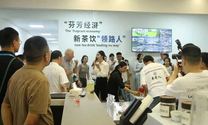超80%！绿茶产业加速迈向全球市场