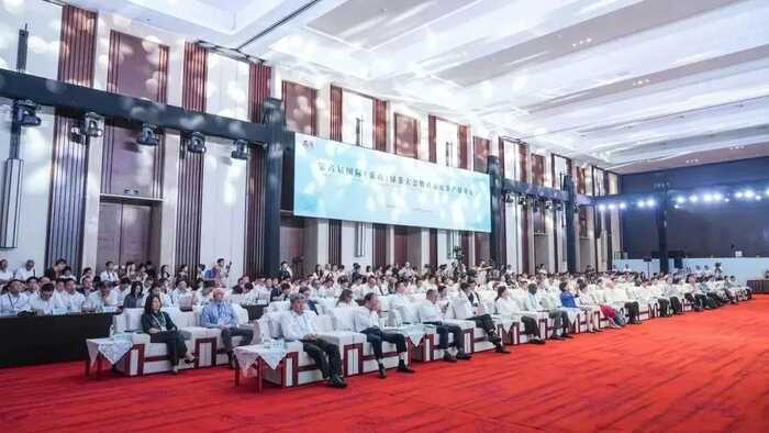 超80%！绿茶产业加速迈向全球市场