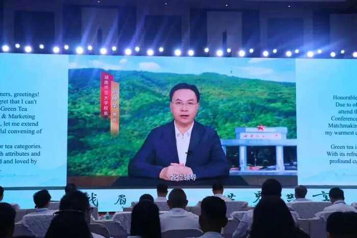 超80%！绿茶产业加速迈向全球市场