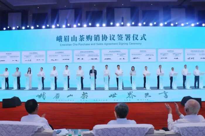 超80%！绿茶产业加速迈向全球市场