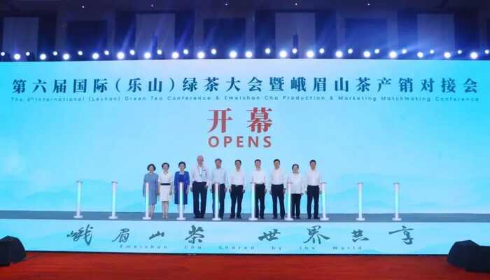 超80%！绿茶产业加速迈向全球市场