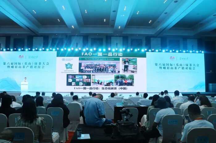 超80%！绿茶产业加速迈向全球市场