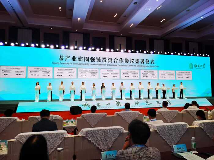 第六届国际绿茶大会乐山开幕 签约额超28亿元助力茶业全球化
