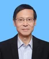 川大郭俊凌/川农杜晓教授ACS Nano：新一代多酚盔甲益生菌重建免疫-肿瘤-微生物组轴强化肿瘤化疗效果