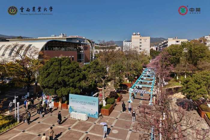 中茶云南校企合作取得阶段性成果暨首届云南农业大学“中国茶•蕴青春”中茶杯大学生实战营销大赛圆满落幕
