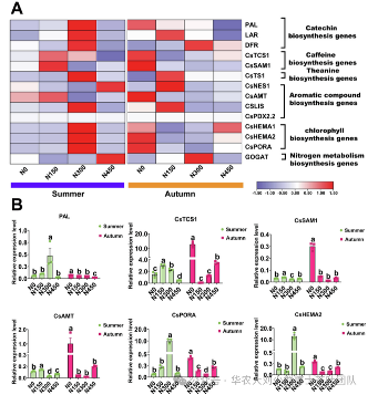 华农大茶学bpq团队论文成果之二