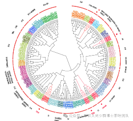 华农大茶学bpq团队论文成果之二