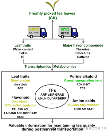 华农大茶学bpq团队论文成果之二