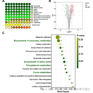 华农大茶学bpq团队论文成果之二