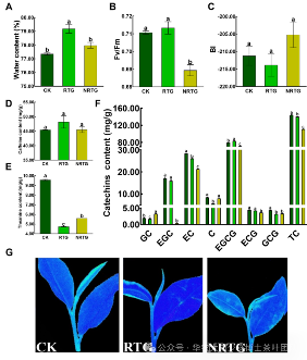华农大茶学bpq团队论文成果之二